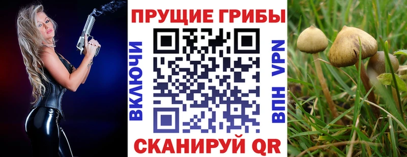 Галлюциногенные грибы мицелий Новоаннинский